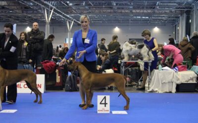 DOU CACIB Brno 6.-7.2.2016