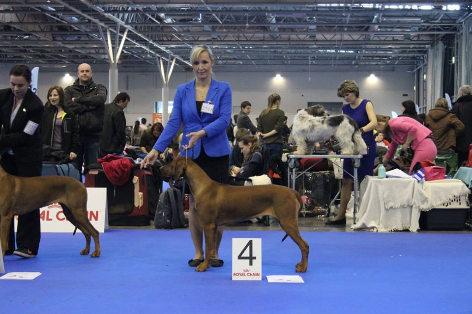 DOU CACIB Brno 6.-7.2.2016