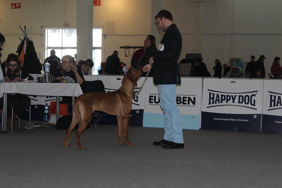 Duo CACIB Nitra 14.-15.1.2017