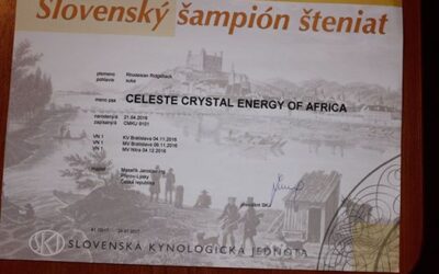 Celeste Crystal Energy of Africa  ♥♥♥