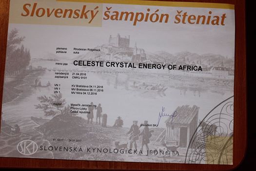 Celeste Crystal Energy of Africa  ♥♥♥