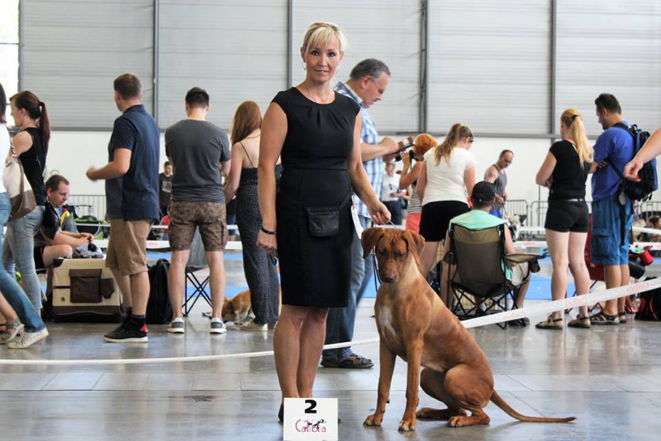 MVP Intercanis Brno 24.6.2017