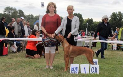 DUO CACIB Bratislava 19.-20.8.2017