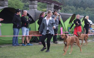 2.-3.9.2017 Club and Specialty dog show ČKRR Orlík