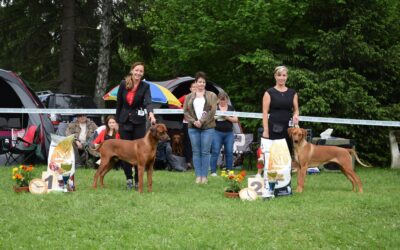 Club show SKCHR Krpáčovo 26.5.2018