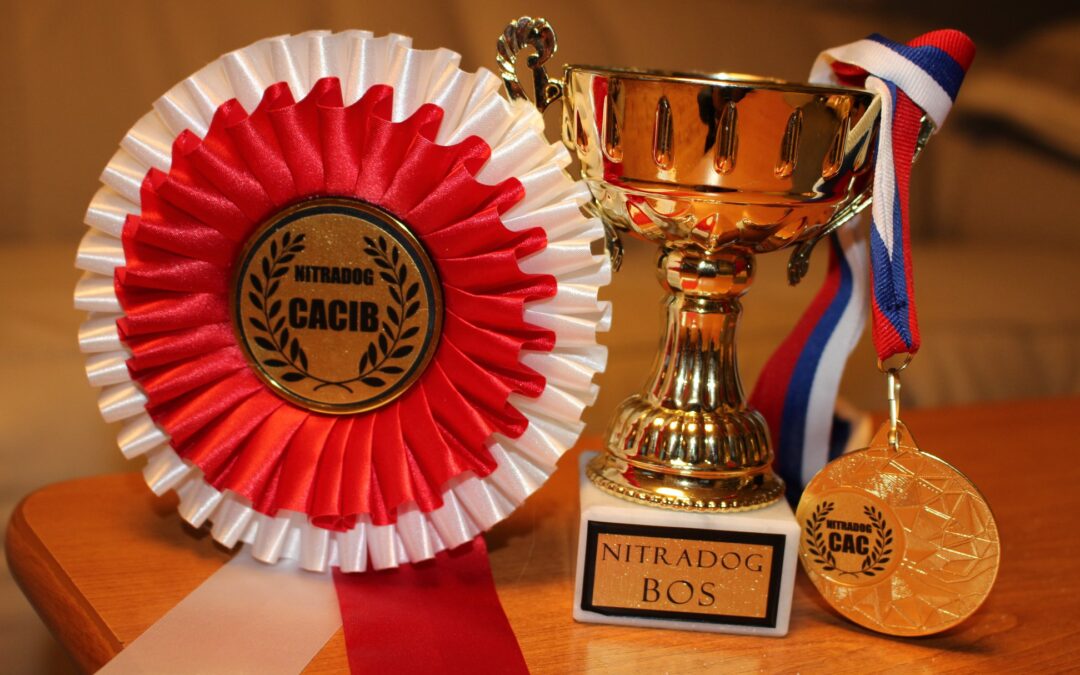 NITRADOG CUP 25.1.2019