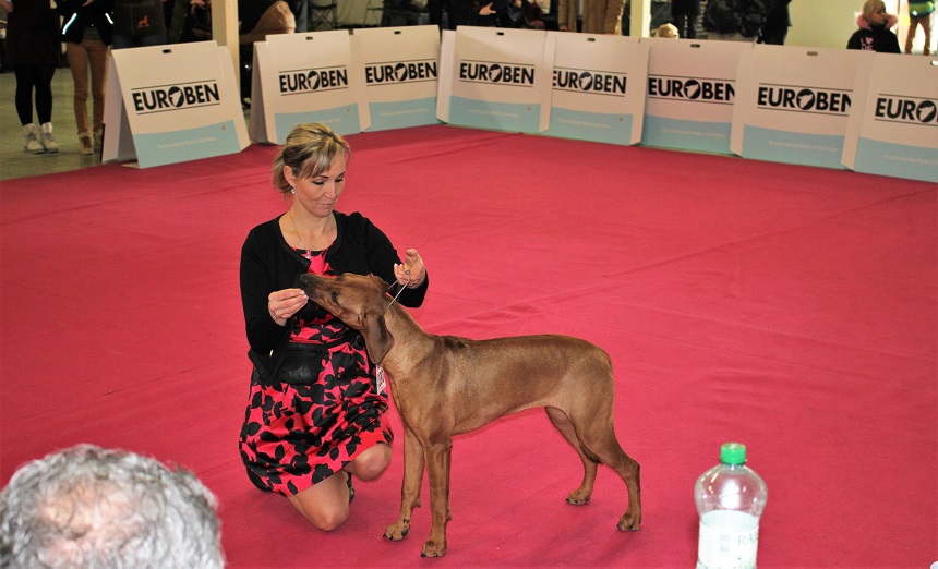 NITRA WINNER SHOW 27.01.2019