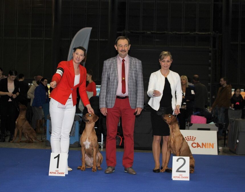 DuoCacib Brno 2.-3. 2.2019