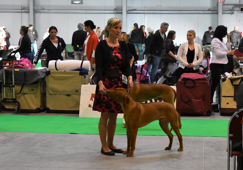 PRAGUE EXPO DOG 20.4.2019