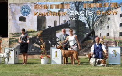 3x CACIB show Komárom (HU) 10.-12.6.2019