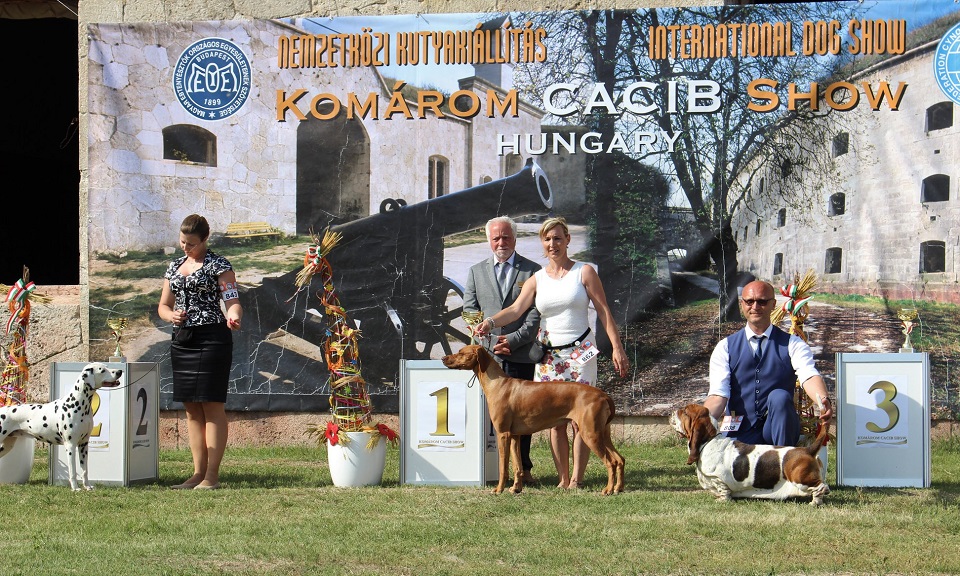 3x CACIB show Komárom (HU) 10.-12.6.2019