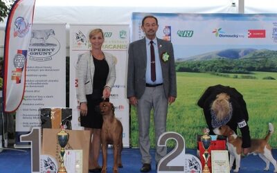 🏆 National dogs show Olomouc 7.9.2019 🏆