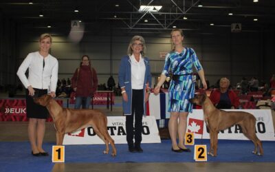 Double CACIB Expo Dog Praha 30.11.2019-1.12.2019