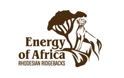 Logo Energy of Africa ❤