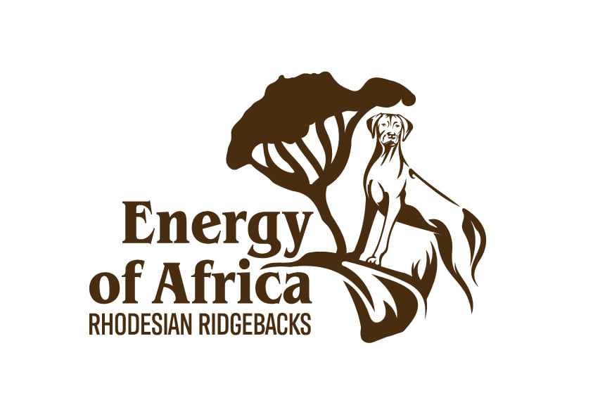 Energy of africa
