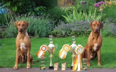 🏆🏆 Klubová a speciální výstava ČKRR 24.-25.7.202 🏆🏆