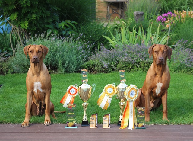 🏆🏆 Klubová a speciální výstava ČKRR 24.-25.7.202 🏆🏆