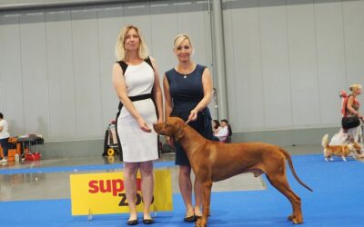 DUO CACIB Brno  14.-15.8. 2021