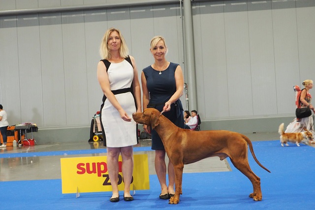 DUO CACIB Brno  14.-15.8. 2021