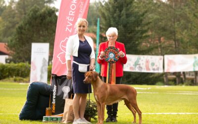 Jubilee 30 years of ČKRR Club and Speciality Show