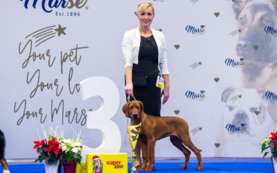 JUBILLE NATIONAL DOG SHOW Brno 3.12.2022