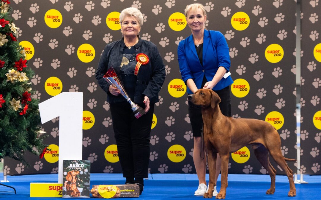 2.12.2023 National dog show Brno