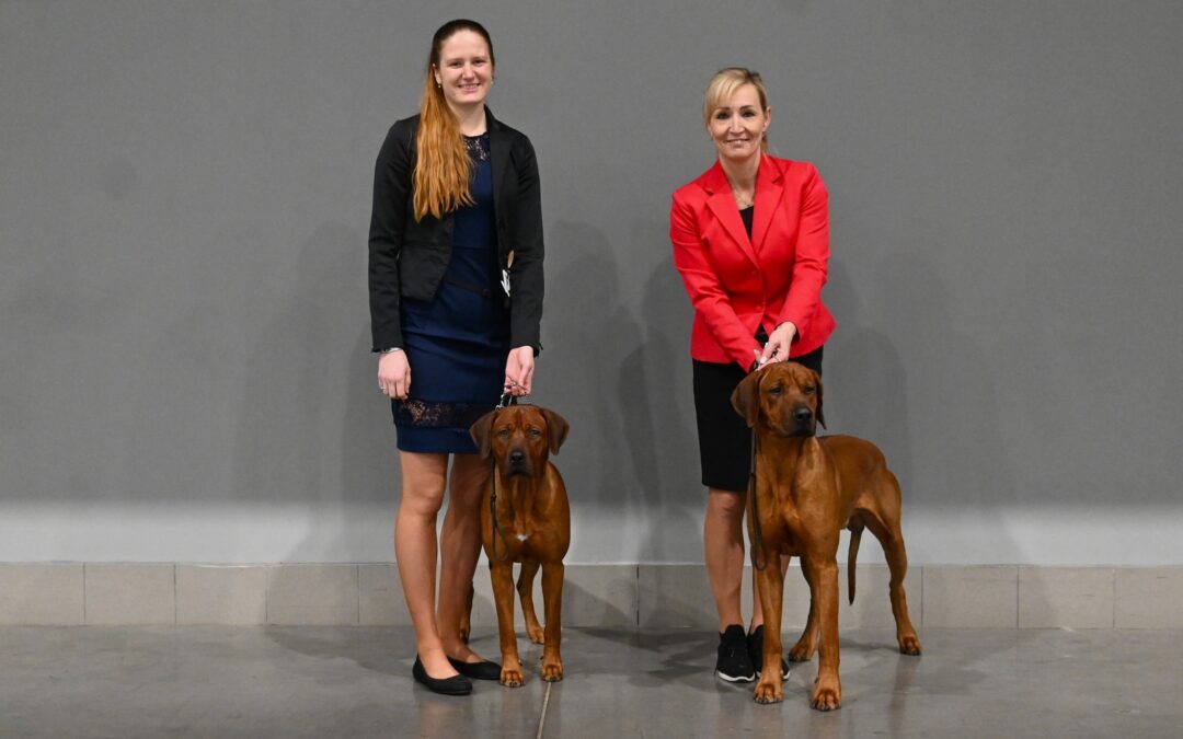 National dog show Brno 6.1.2024